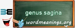 WordMeaning blackboard for genus sagina